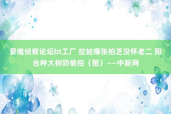爱唯侦察论坛bt工厂 拉姑爆张柏芝没怀老二 阳台种大树防偷拍（图）——中新网