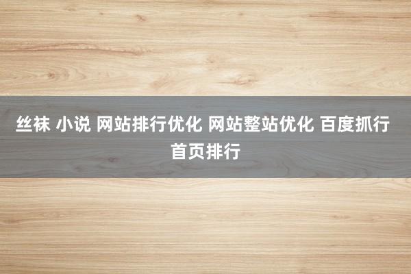 丝袜 小说 网站排行优化 网站整站优化 百度抓行 首页排行
