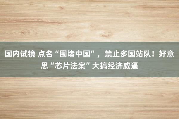 国内试镜 点名“围堵中国”，禁止多国站队！好意思“芯片法案”大搞经济威逼