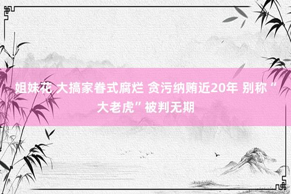 姐妹花 大搞家眷式腐烂 贪污纳贿近20年 别称“大老虎”被判无期