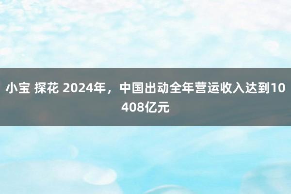 小宝 探花 2024年，中国出动全年营运收入达到10408亿元
