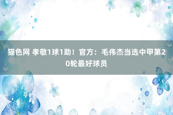 猫色网 孝敬1球1助！官方：毛伟杰当选中甲第20轮最好球员