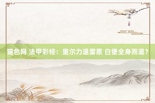 猫色网 法甲彩经：里尔力退雷恩 白堡全身而退？