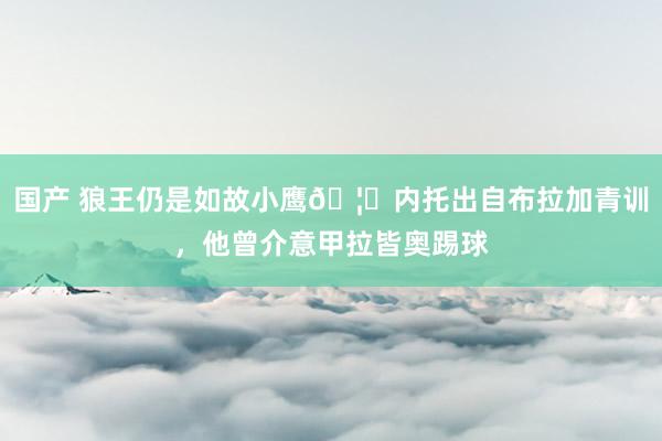 国产 狼王仍是如故小鹰🦅内托出自布拉加青训，他曾介意甲拉皆奥踢球